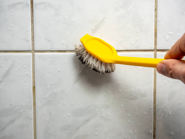 Best Commercial Mold Removal  in Surprise, AZ